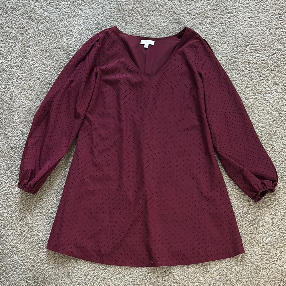 Burgundy V-Neck Dress with Long Sleeves